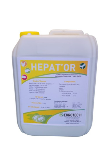 Hepat'or programme Ameli'or