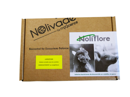 Noliflore 