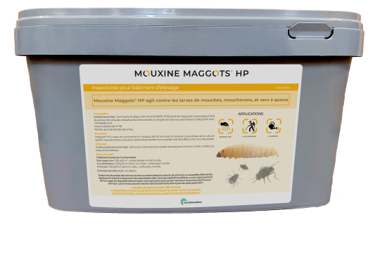 MOUXINE MAGGOTS HP