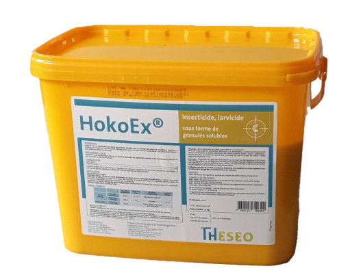 HOKOEX