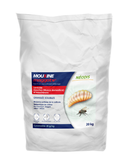 MOUXINE MAGGOTS