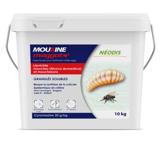 MOUXINE MAGGOTS