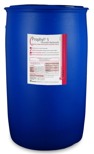 PROPHYL S