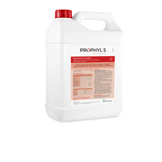 PROPHYL S