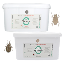 Nos produits Armor Oeufs 