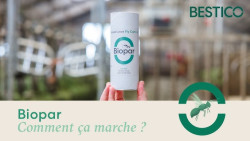 Nos produits Armor Oeufs 
