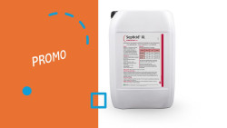 Nos produits Armor Oeufs 