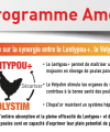 Hepat'or programme Ameli'or