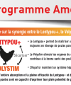 Lentypou+ programme Ameli'or