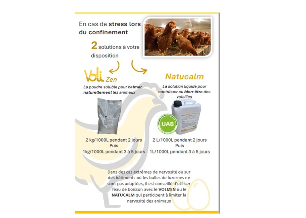 Nos services Armor Oeufs 