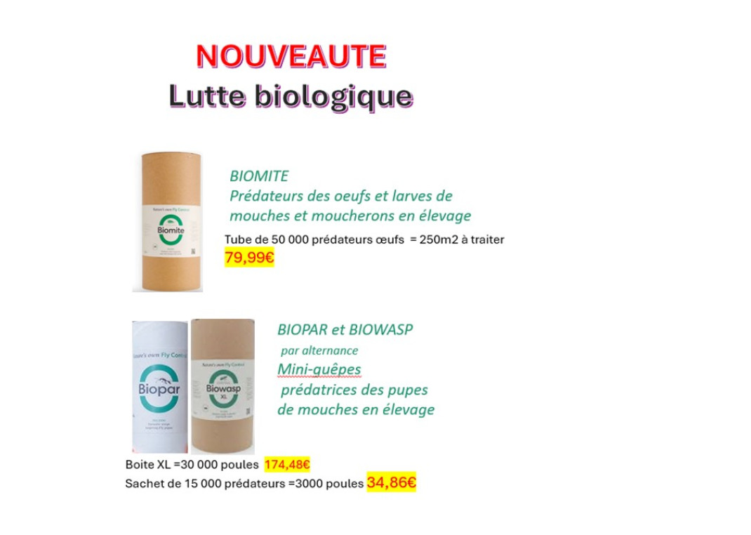 Nos services Armor Oeufs 