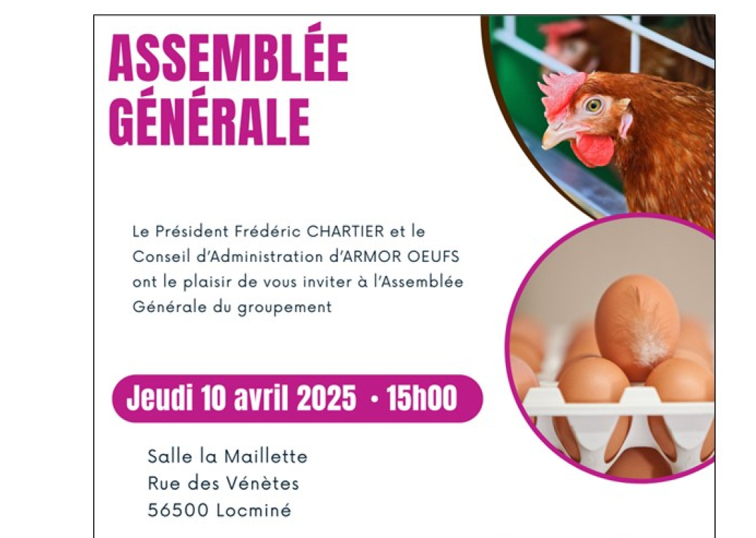 Nos services Armor Oeufs 