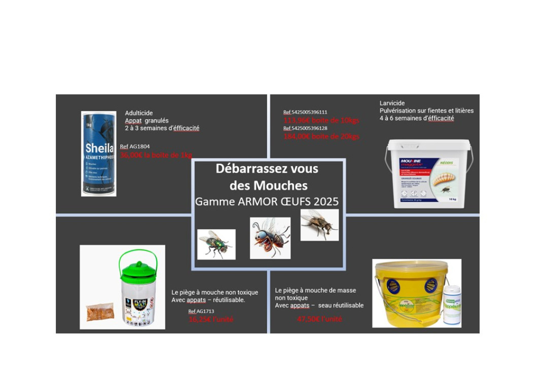 Nos services Armor Oeufs 