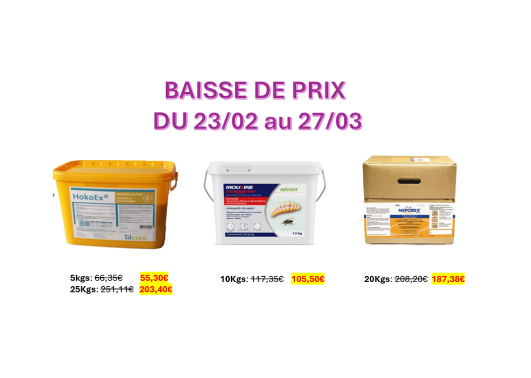 Nos services Armor Oeufs 