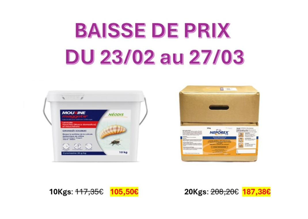 Nos services Armor Oeufs 