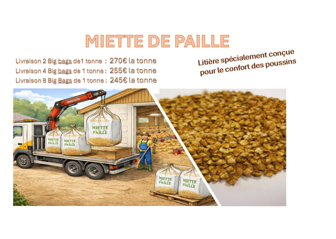 Nos services Armor Oeufs 