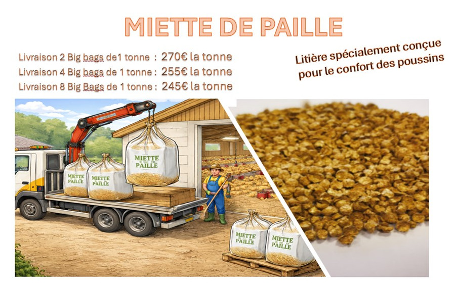 LA MIETTE DE PAILLE : DISPONIBLE CHEZ ARMOR OEUFS